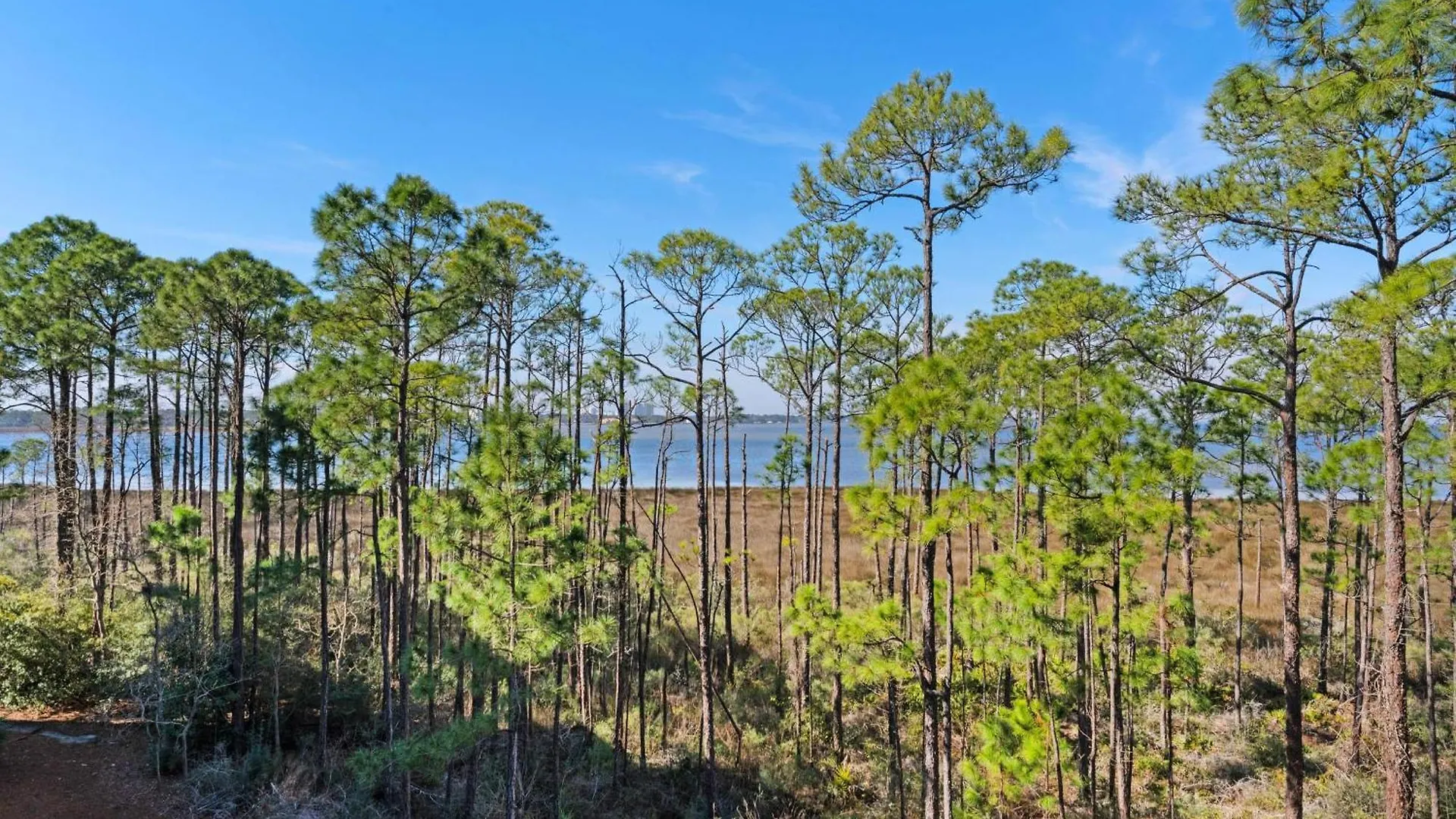Bahia Units 4322 And 4324 Villa Destin
